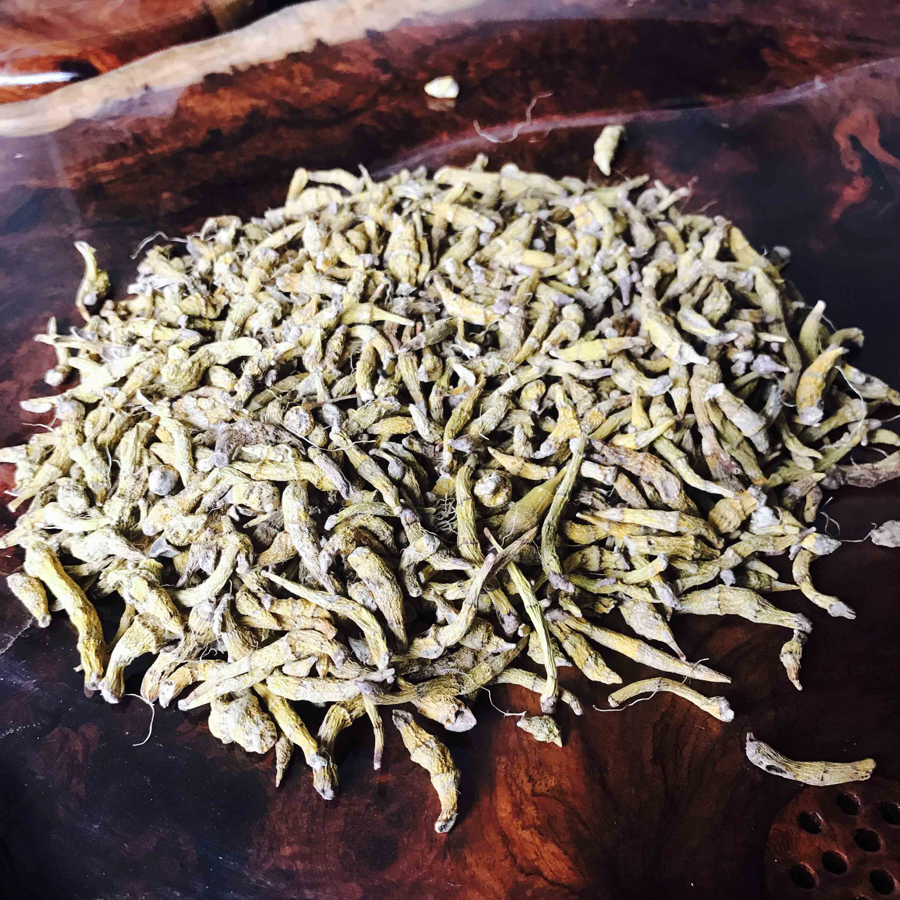 野生虎牙石斛