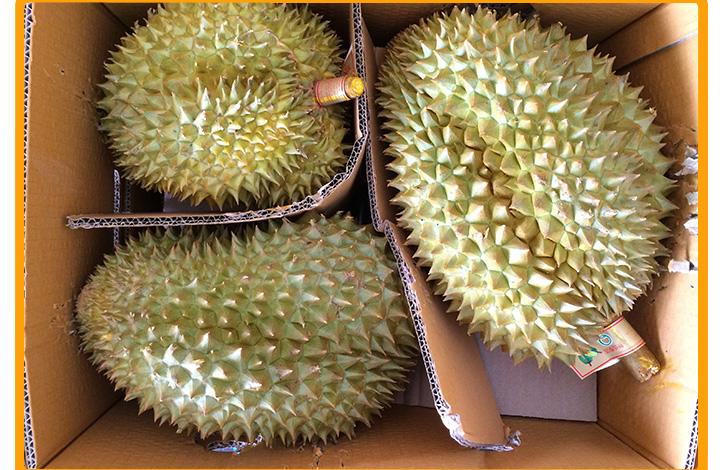【a】泰国金枕榴莲 泰象